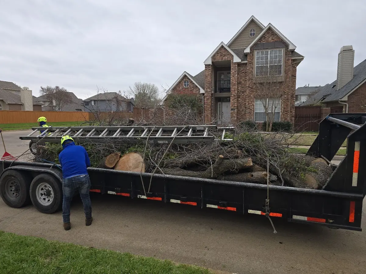 Expert Tree Fertilization with proper safety equipment in Saint Regis Falls